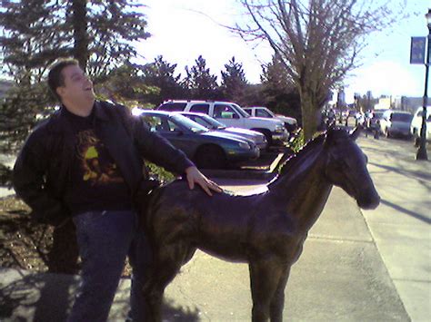 enumclaw horse guy